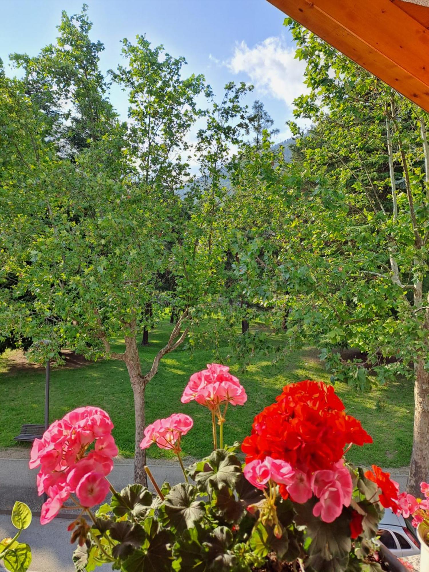 Appartement Casa Alby à Levico Terme Extérieur photo
