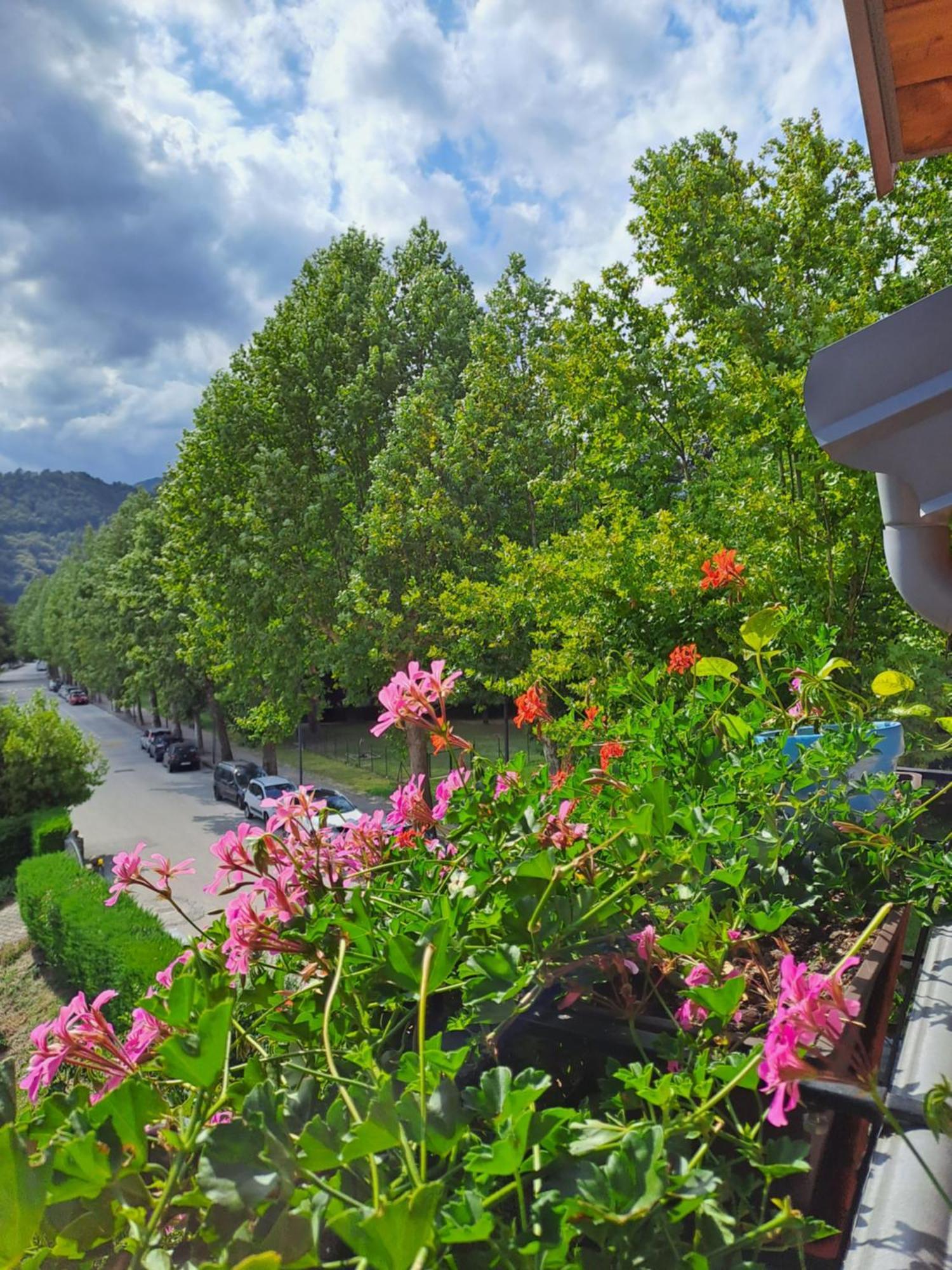 Appartement Casa Alby à Levico Terme Extérieur photo